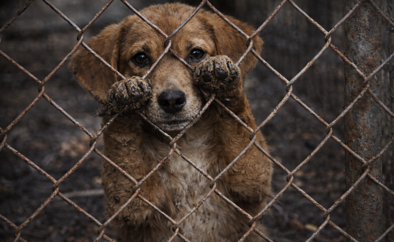 ChatGPT Image 29 de dez. de 2025, 08_14_44