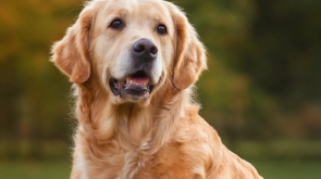 WhatsApp Image 2026-02-10 at 15.34.36