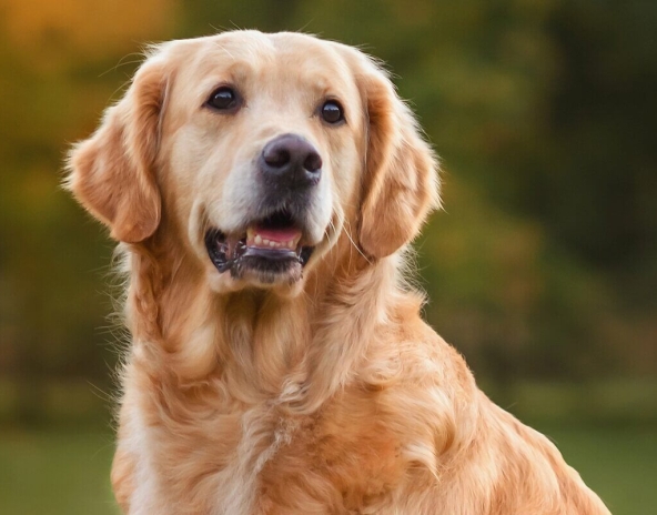 WhatsApp Image 2026-02-10 at 15.34.36