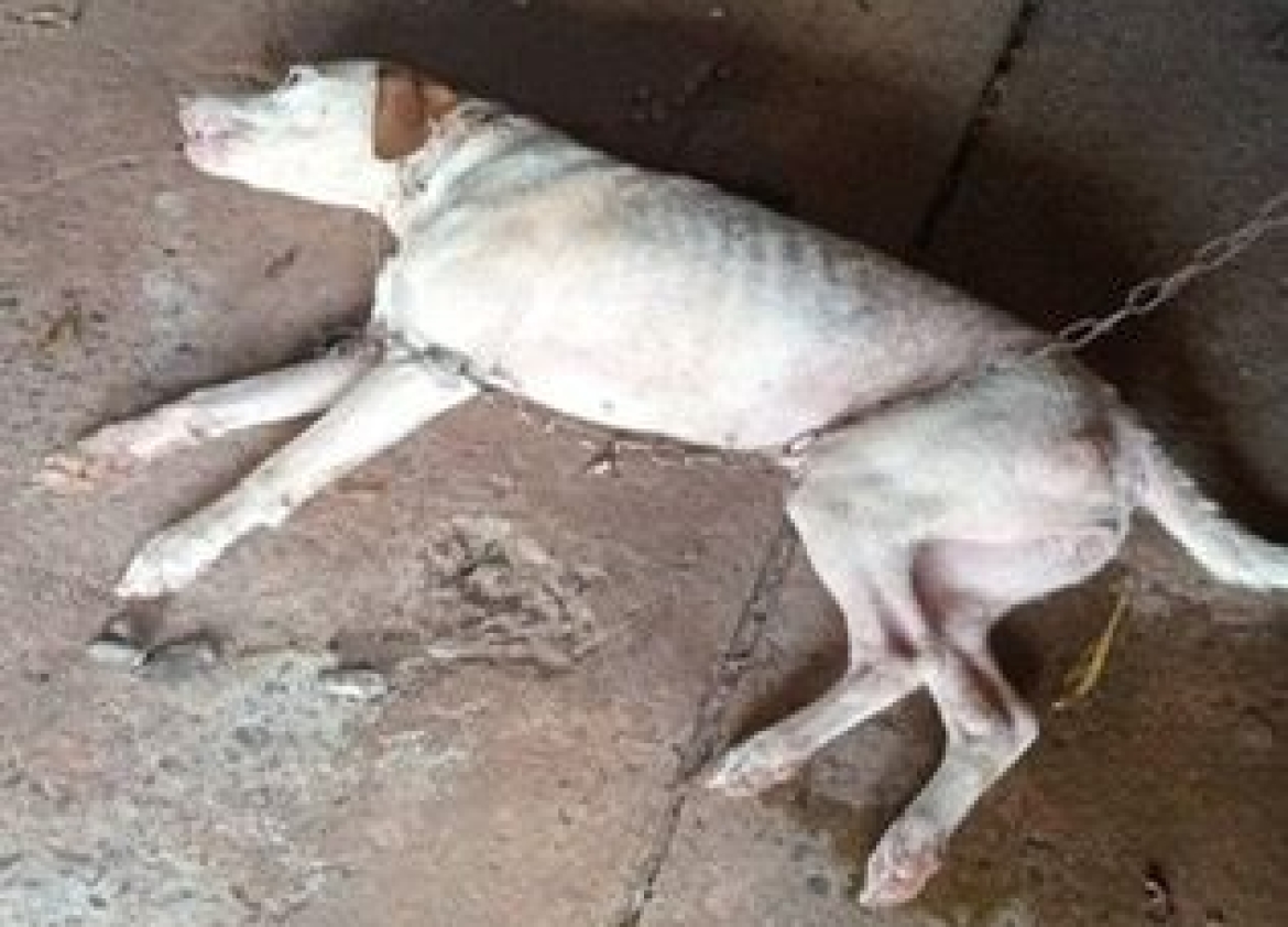 WhatsApp Image 2026-02-27 at 09.53.44