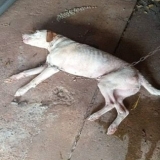 WhatsApp Image 2026-02-27 at 09.53.44