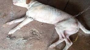 WhatsApp Image 2026-02-27 at 09.53.44