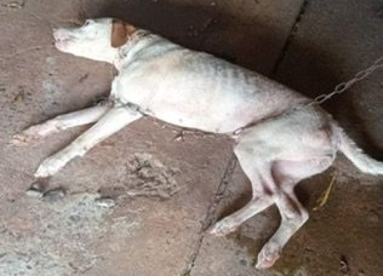 WhatsApp Image 2026-02-27 at 09.53.44