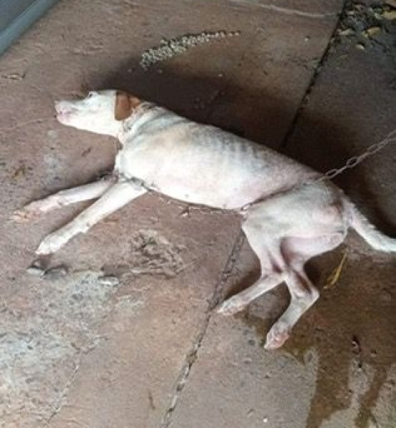 WhatsApp Image 2026-02-27 at 09.53.44