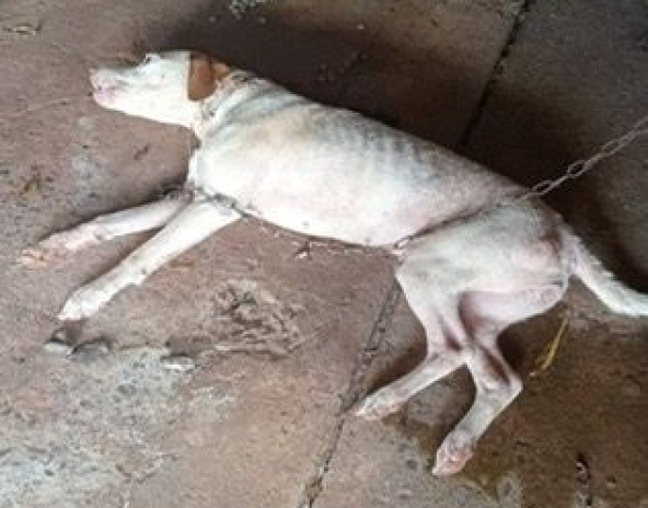 WhatsApp Image 2026-02-27 at 09.53.44