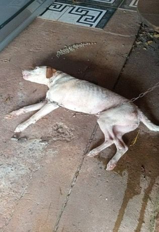 WhatsApp Image 2026-02-27 at 09.53.44