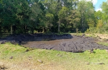 WhatsApp Image 2026-03-02 at 18.32.37