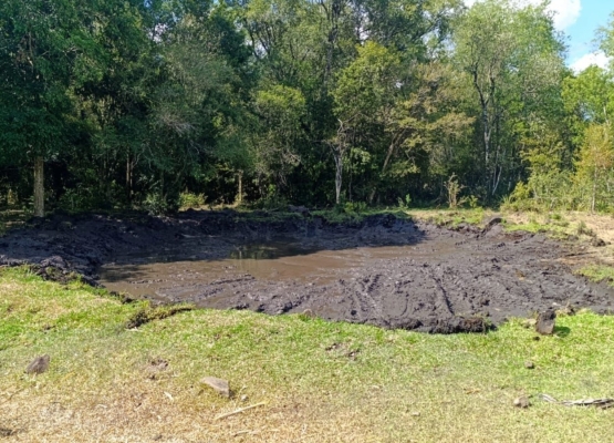 WhatsApp Image 2026-03-02 at 18.32.37