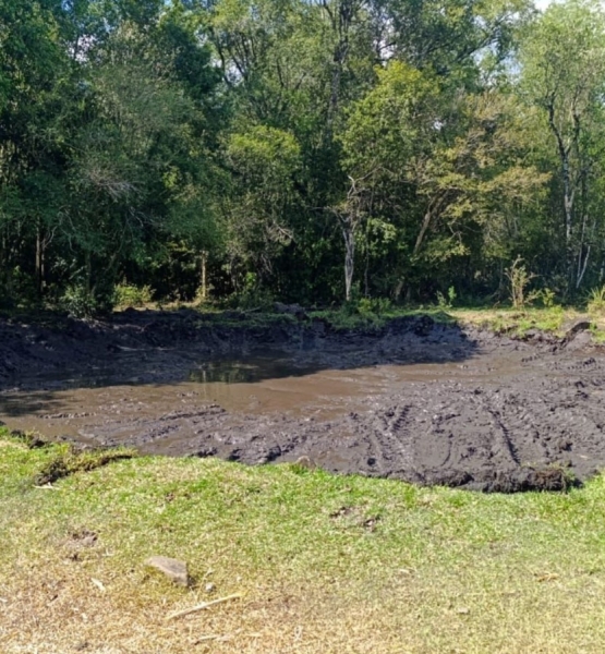 WhatsApp Image 2026-03-02 at 18.32.37