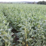 WhatsApp Image 2026-03-04 at 09.51.33