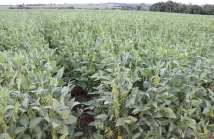 WhatsApp Image 2026-03-04 at 09.51.33