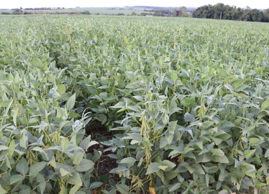 WhatsApp Image 2026-03-04 at 09.51.33