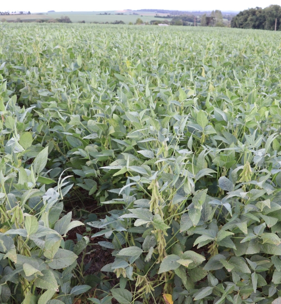 WhatsApp Image 2026-03-04 at 09.51.33