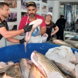 WhatsApp Image 2026-03-04 at 14.41.37