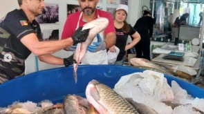 WhatsApp Image 2026-03-04 at 14.41.37