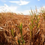 WhatsApp Image 2026-03-10 at 14.36.02