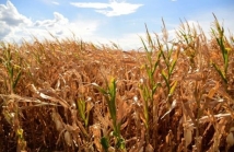 WhatsApp Image 2026-03-10 at 14.36.02