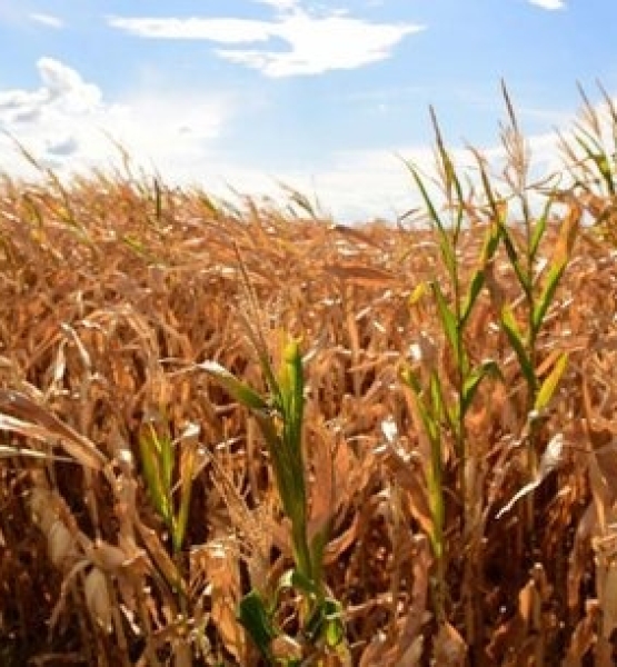 WhatsApp Image 2026-03-10 at 14.36.02