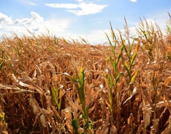 WhatsApp Image 2026-03-10 at 14.36.02