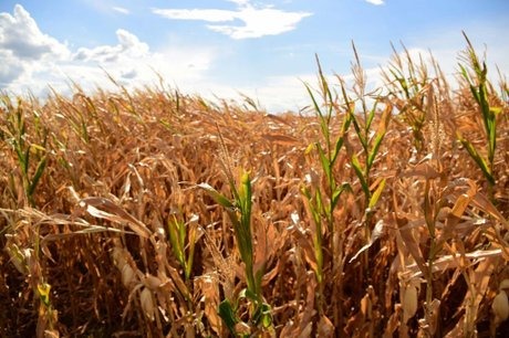 WhatsApp Image 2026-03-10 at 14.36.02