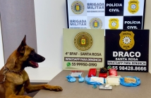 WhatsApp Image 2026-04-02 at 10.32.46