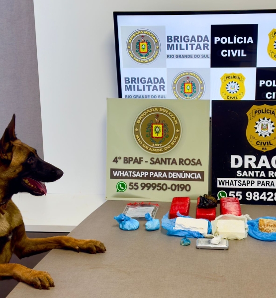 WhatsApp Image 2026-04-02 at 10.32.46