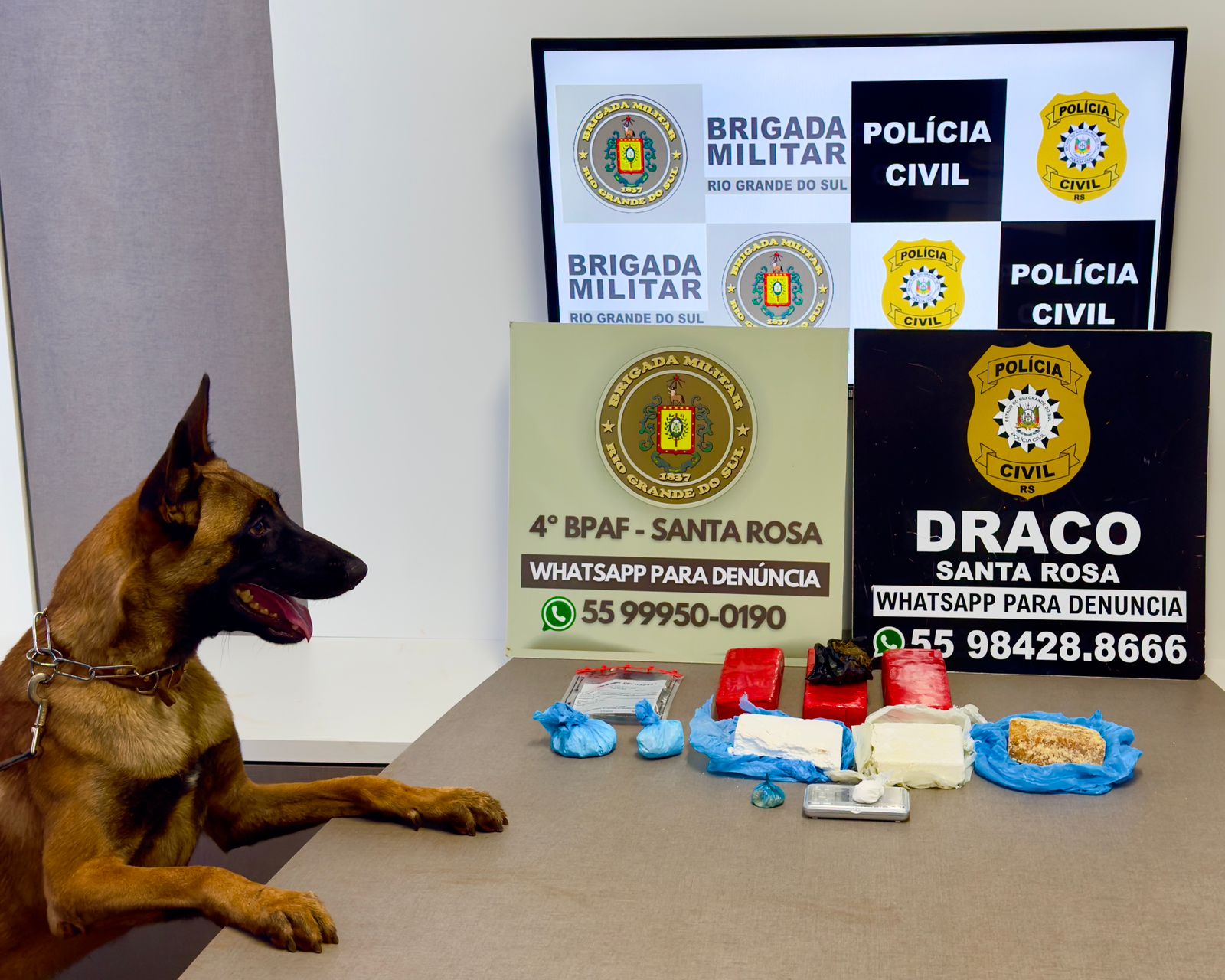 WhatsApp Image 2026-04-02 at 10.32.46