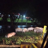 WhatsApp Image 2026-04-24 at 10.42.03