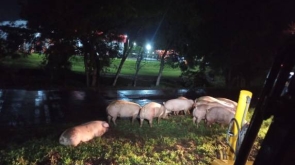 WhatsApp Image 2026-04-24 at 10.42.03