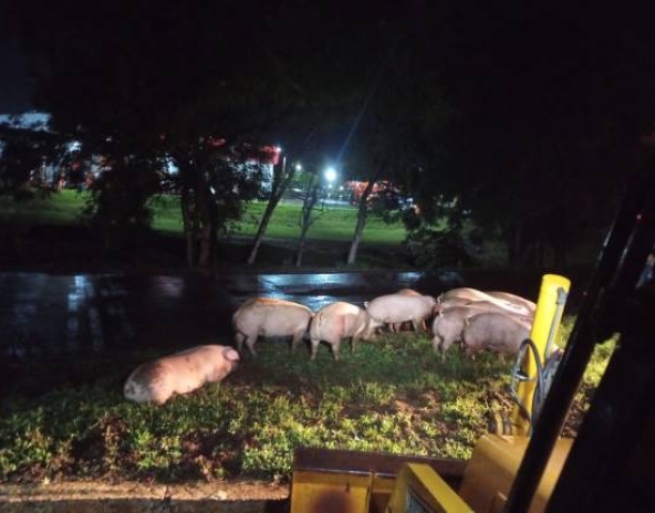 WhatsApp Image 2026-04-24 at 10.42.03