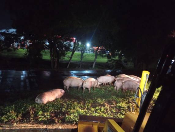 WhatsApp Image 2026-04-24 at 10.42.03