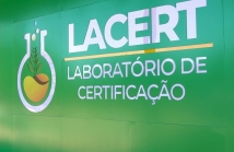 WhatsApp Image 2026-10-08 at 15.04.01